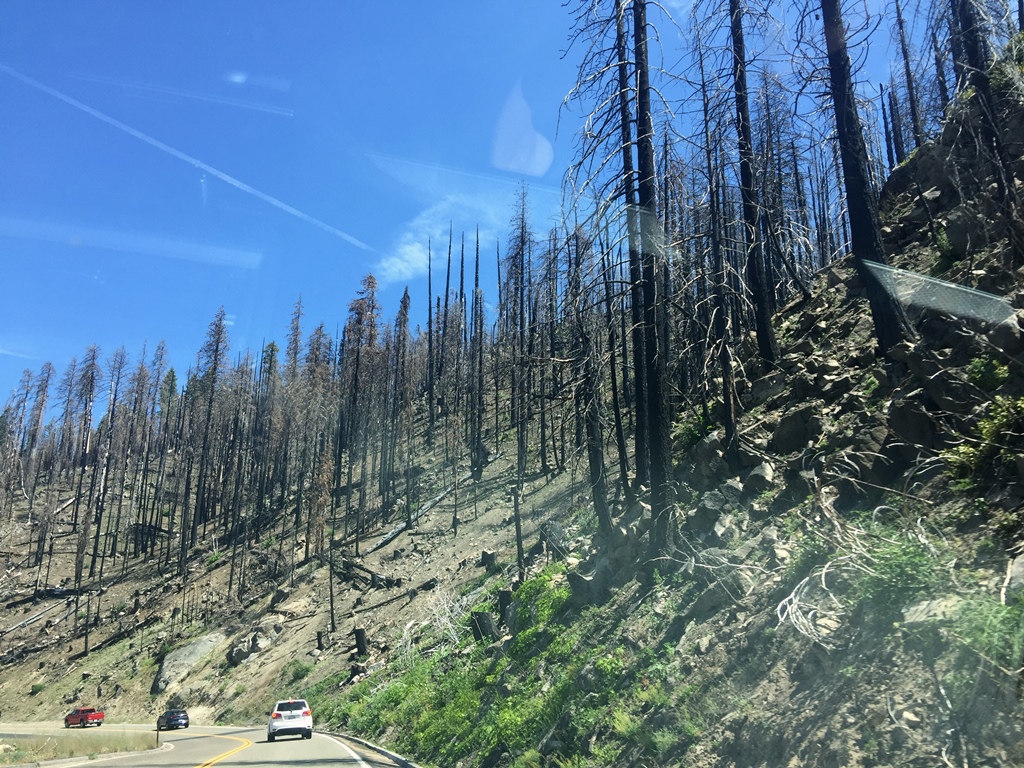 Aftermath of 2018 Wildfire
