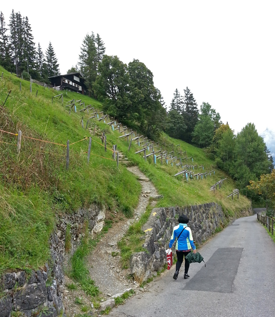 Nella on Trail