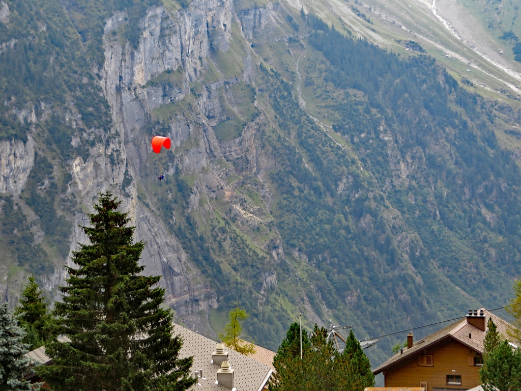 A Hang Glider