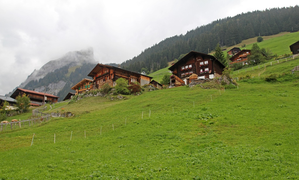 Houses and Grassy Hillside