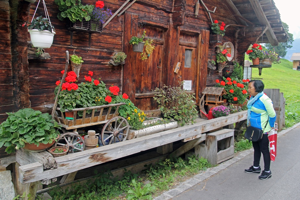 Nella and Firewood Shed