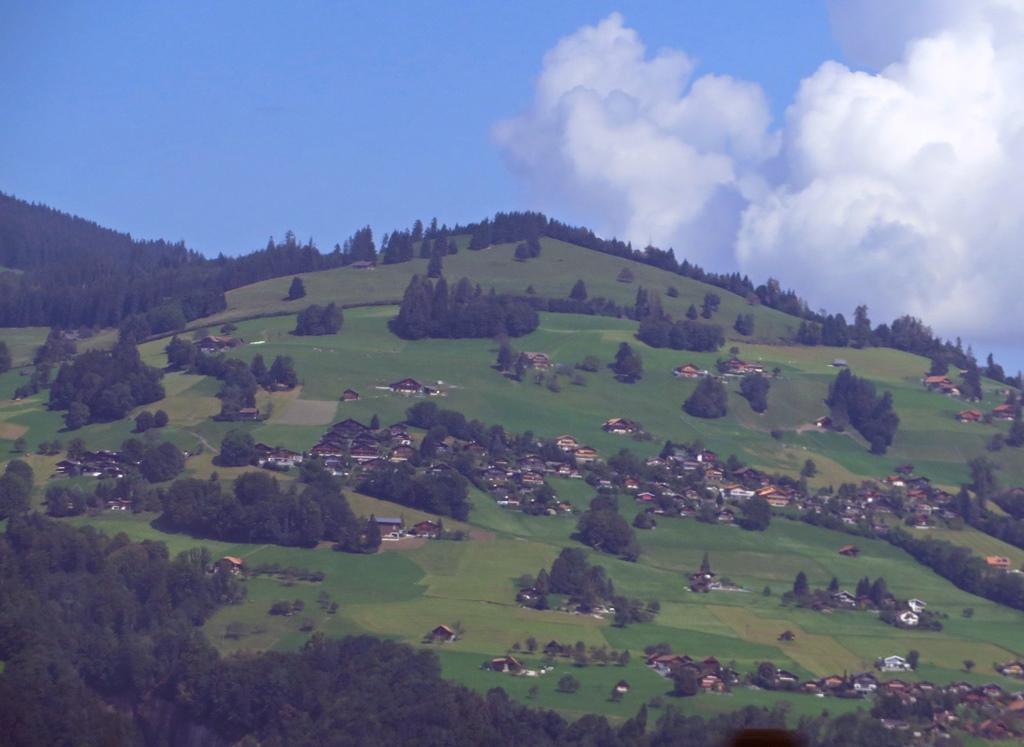 Hillside