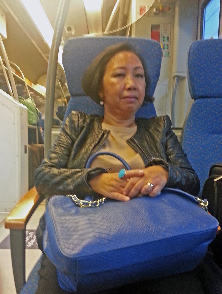 Nella on Malpensa Express