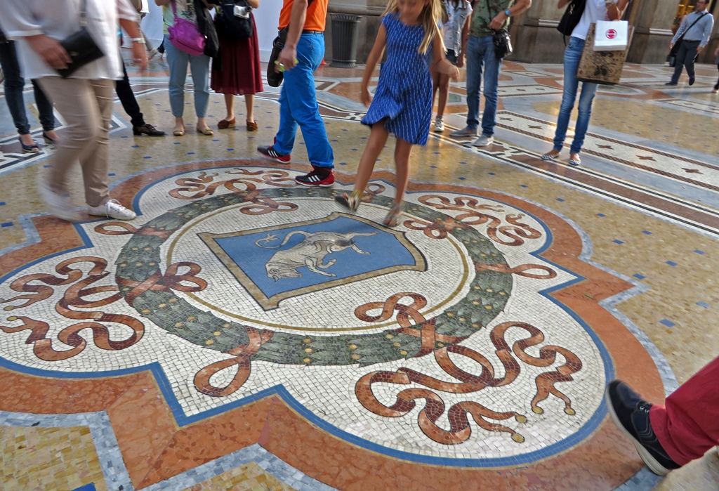 Turin Coat of Arms
