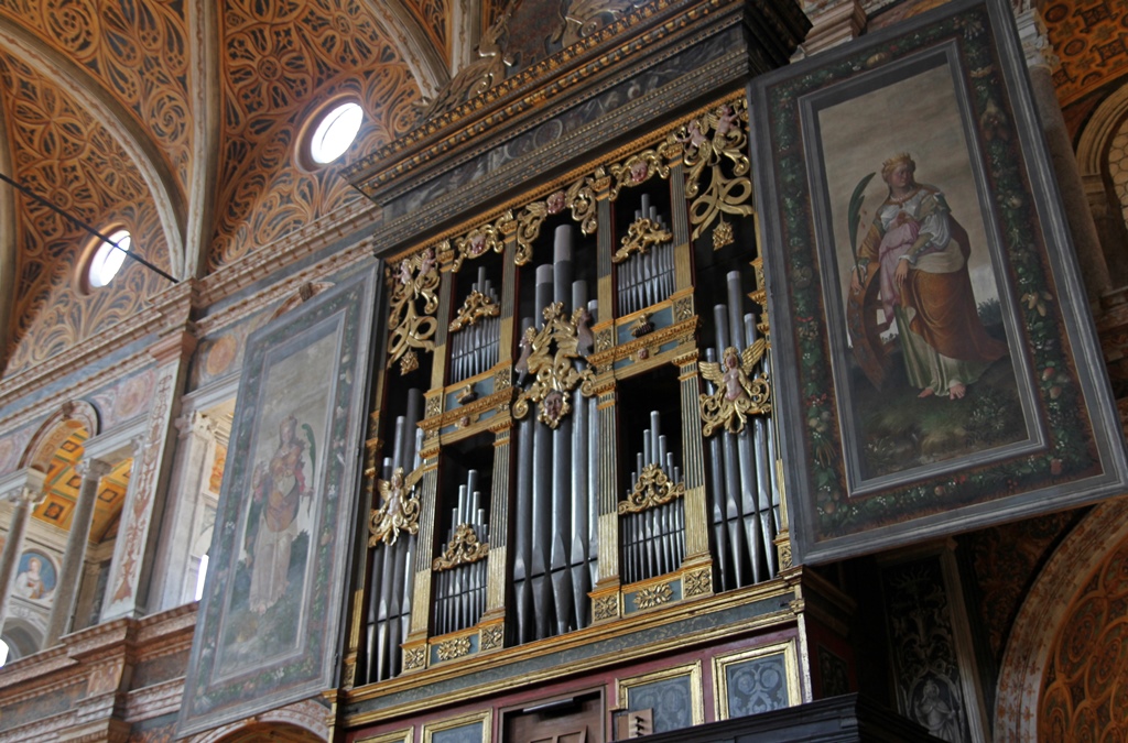 Organ