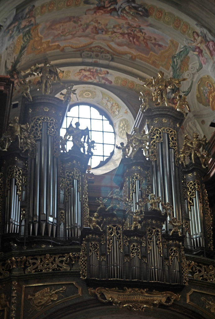 Organ