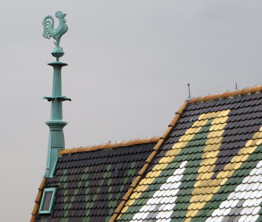 Chicken on top of Roof