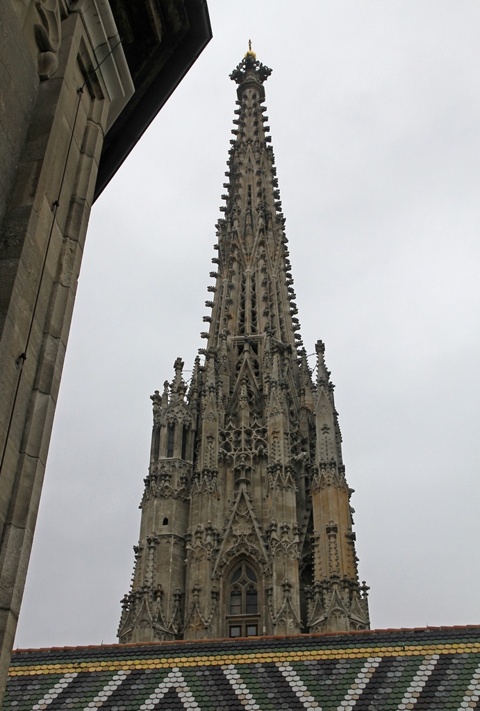 South Tower from North Tower