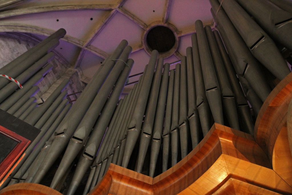 Organ Pipes