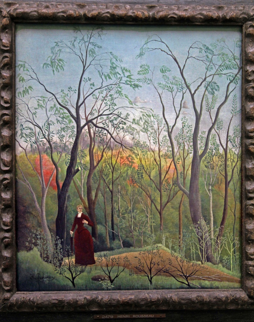 At the Edge of the Forest