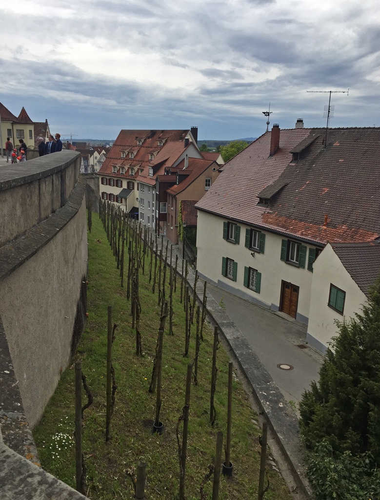 Weingarten from Basilica