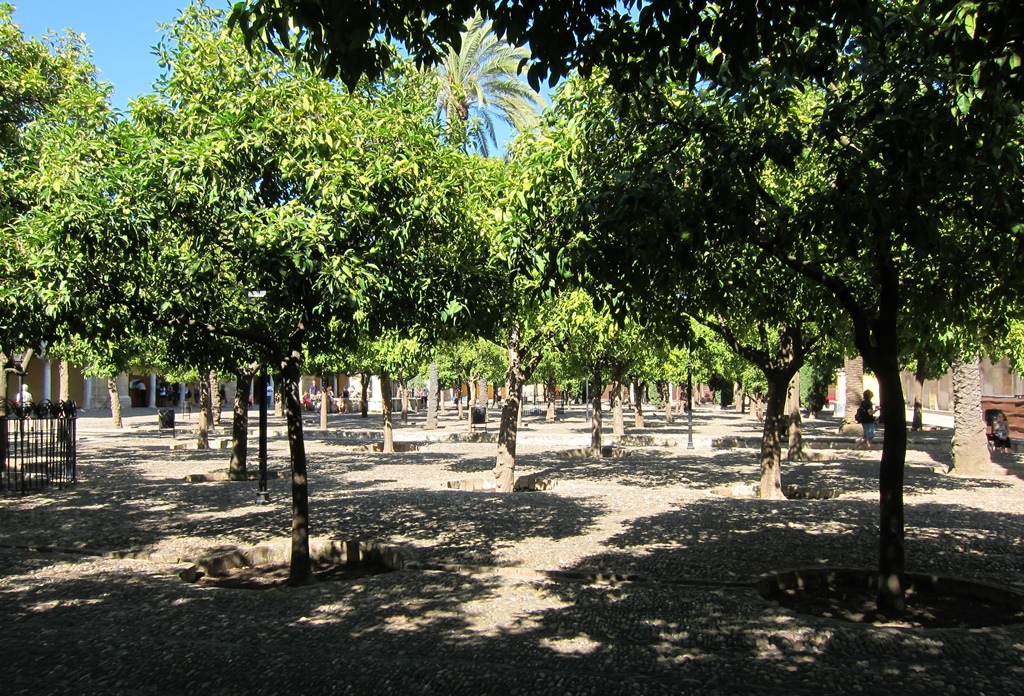 Patio de los Naranjos