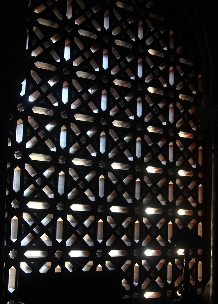 Screened Window