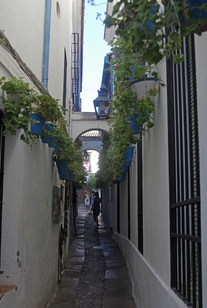 Narrow Street, Old Town