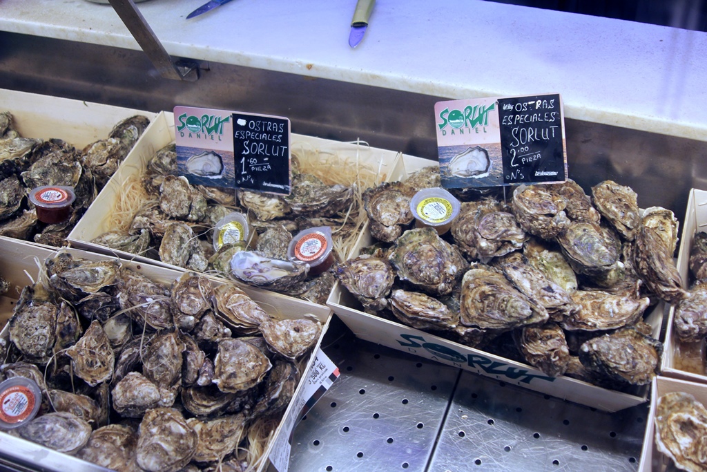 Oysters