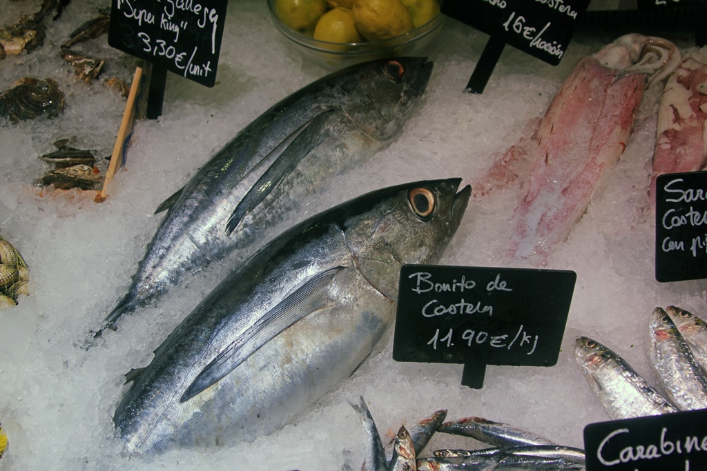 Bonito