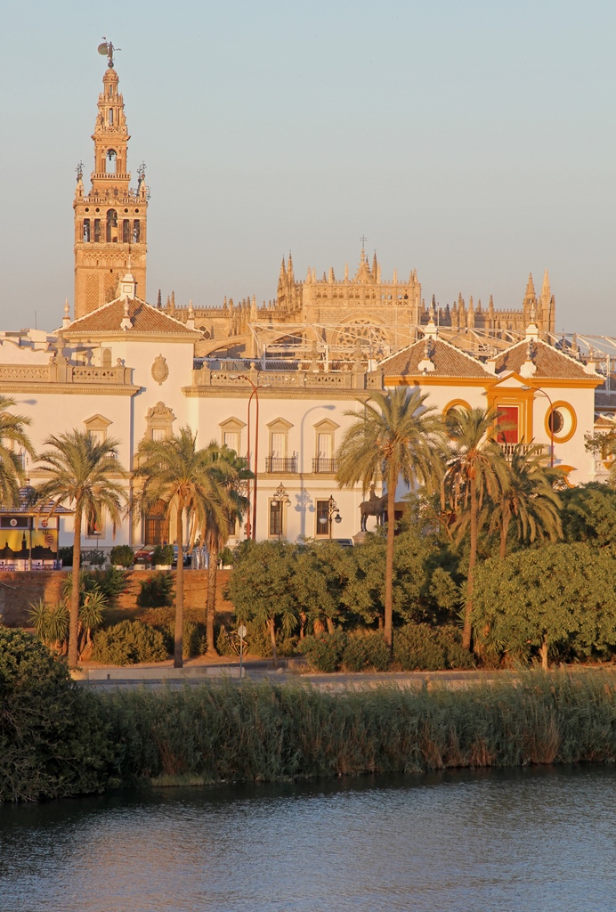 Cathedral from Across River