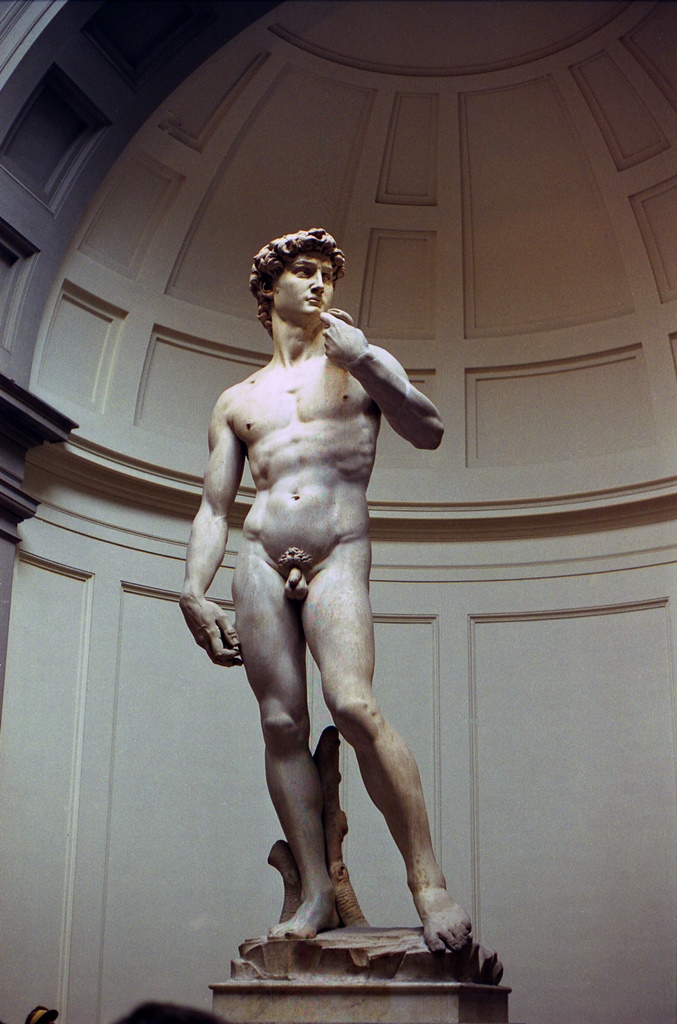 David