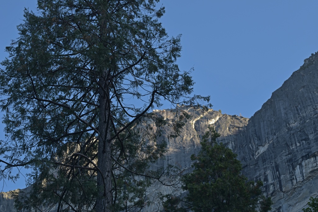 Cabin View - Glacier Point with Tree in Front of It