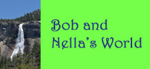Bob and Nella's World