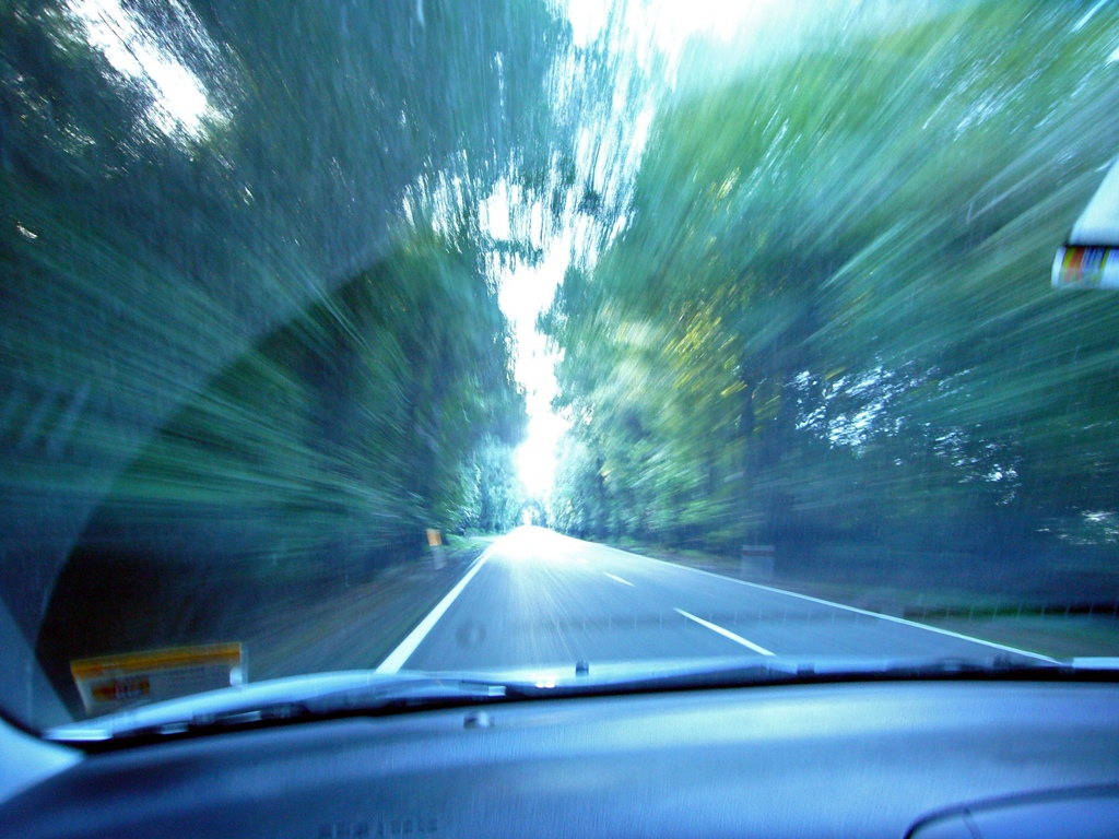 Driving in New Zealand