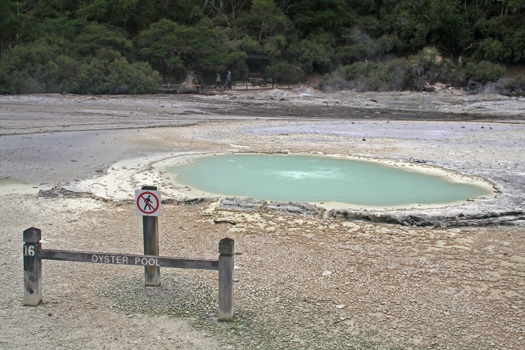Oyster Pool