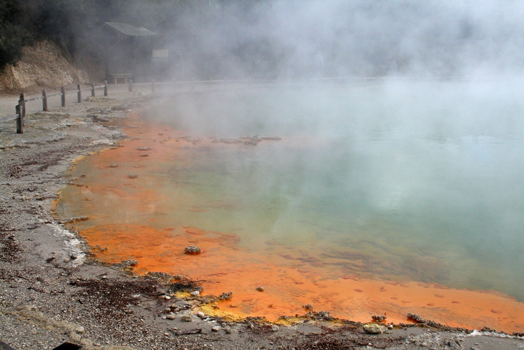 Champagne Pool