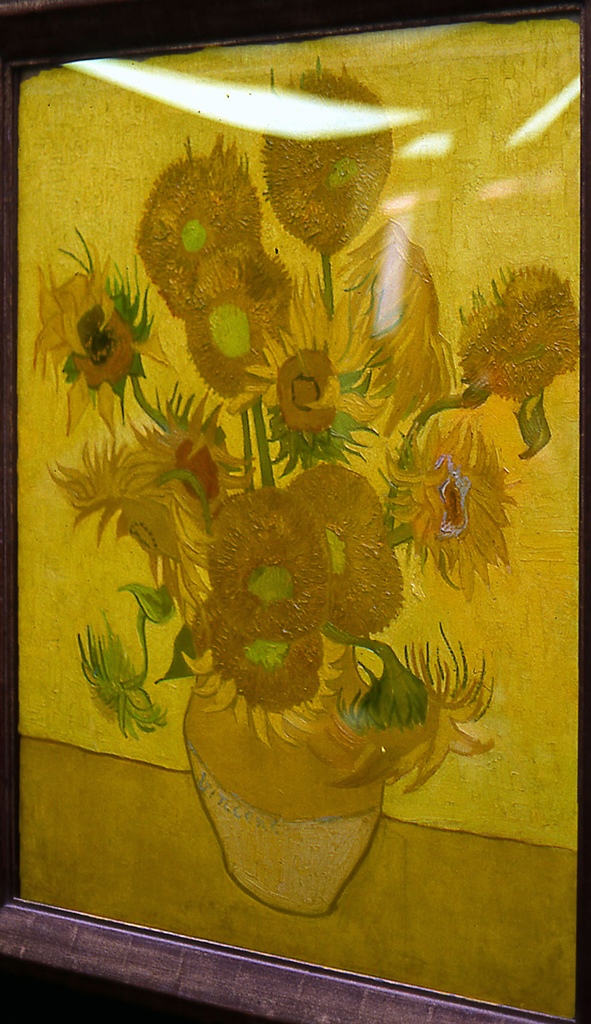Sunflowers
