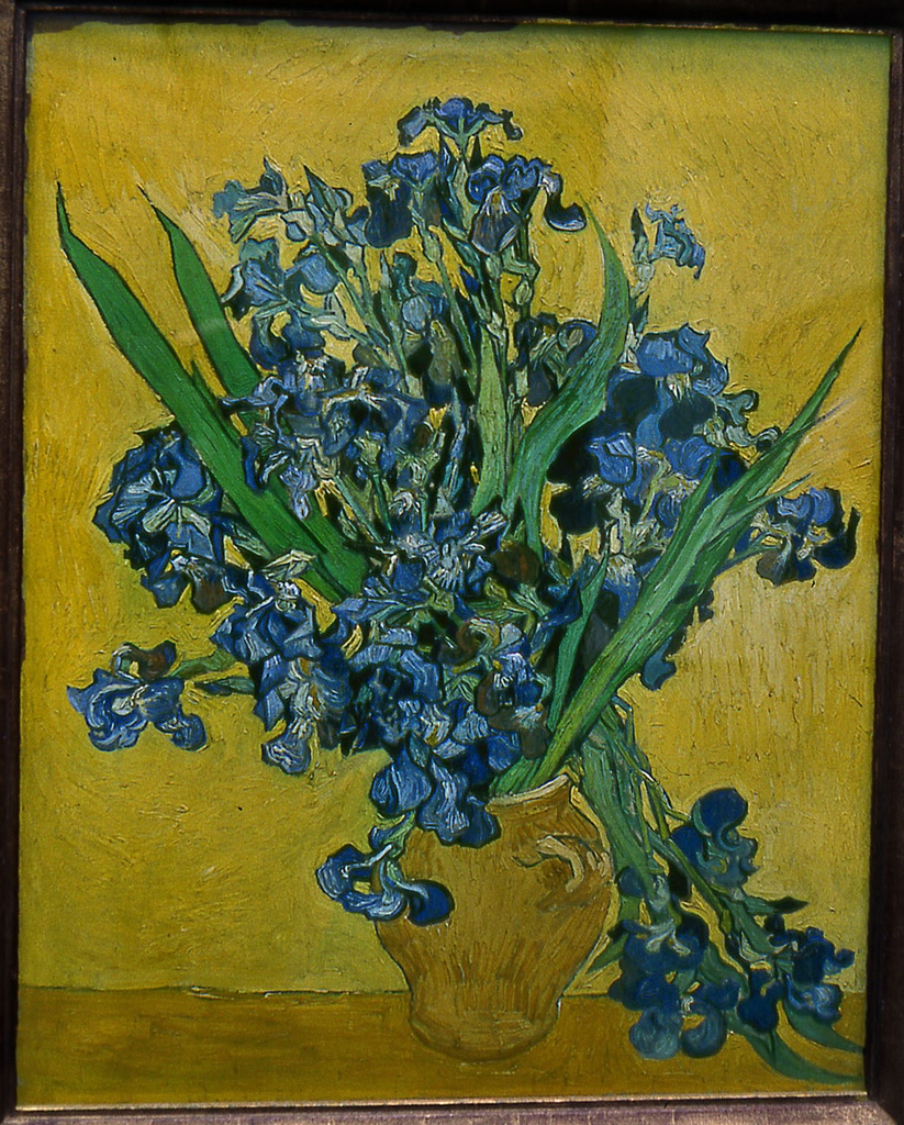 Irises