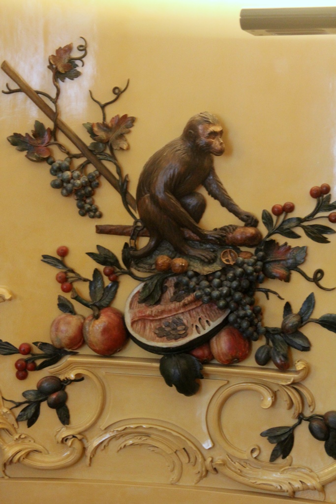 A Monkey