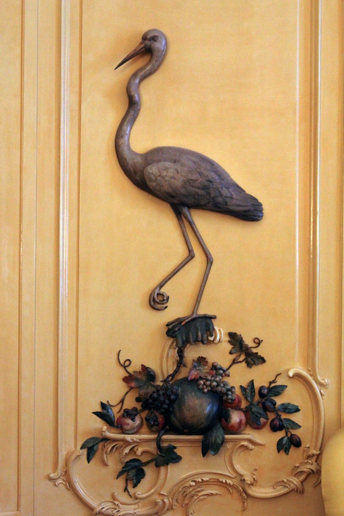 A Waterfowl