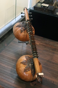 Stringed Instrument with Gourds