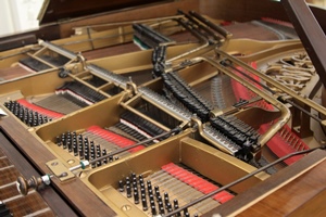 Innards of Piano with Luthal Mechanism