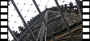 Connie, Walkway and Top of Tower