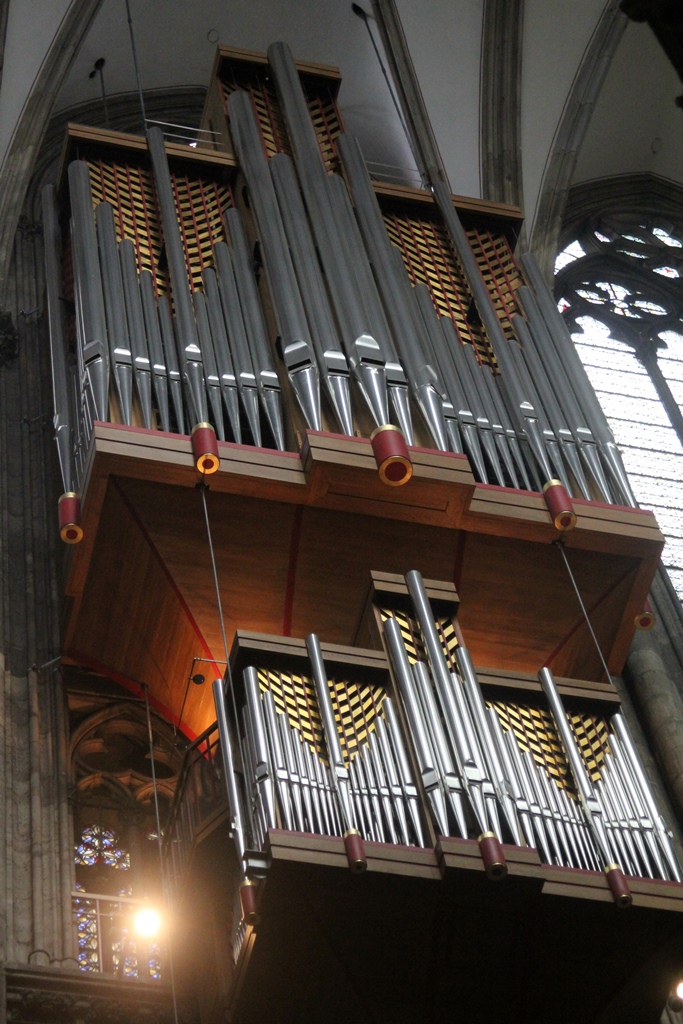 Nave Organ