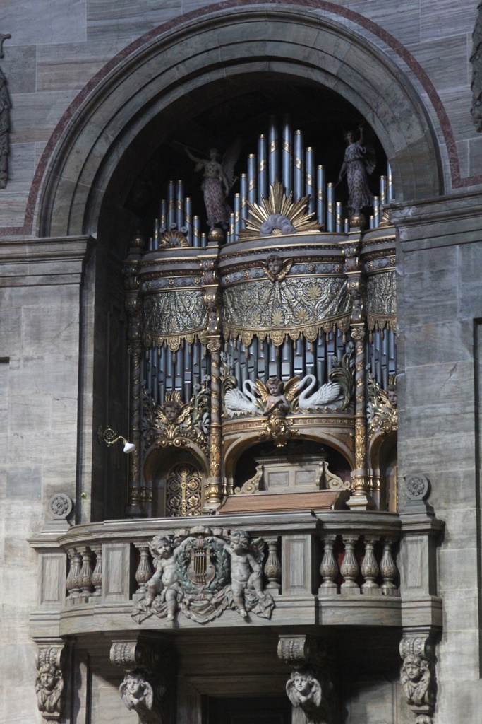 Organ