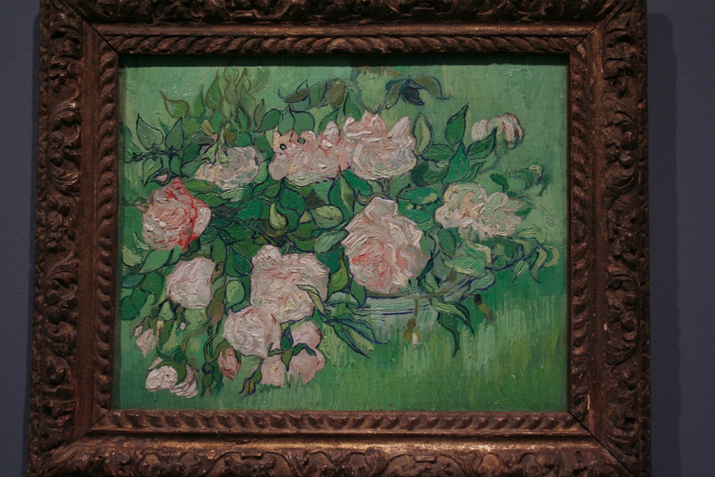 Still Life: Pink Roses