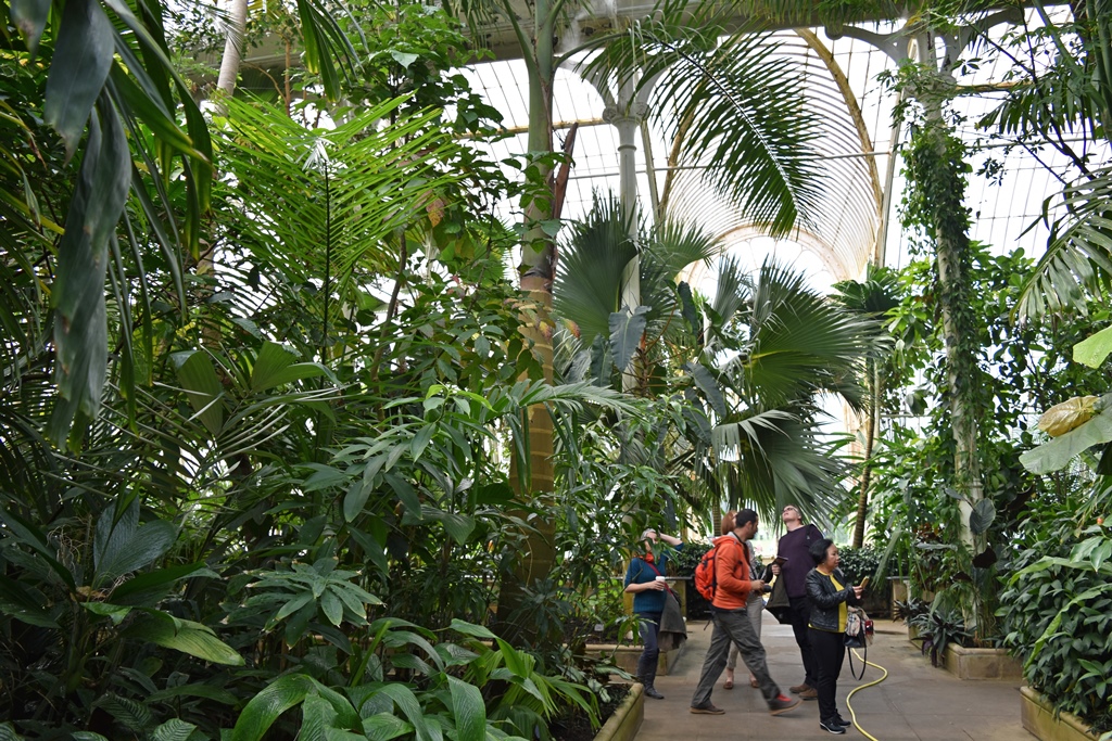 Among the Plants