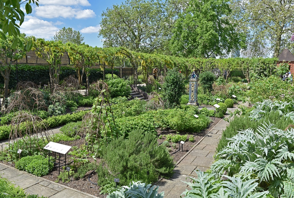 Medicinal Garden