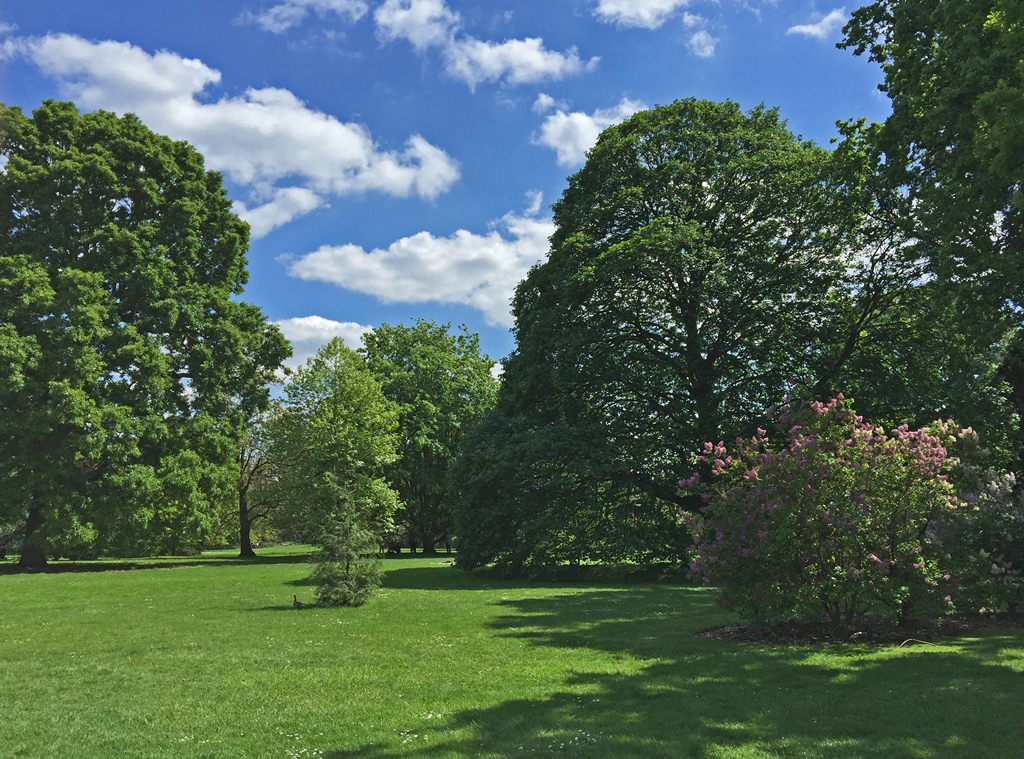 Garden Grounds
