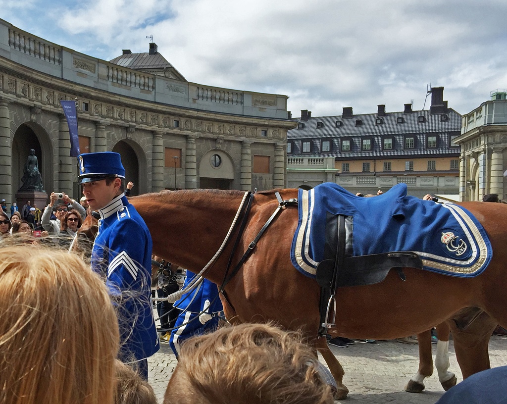 Horse Handler Leading Horse Out of Square