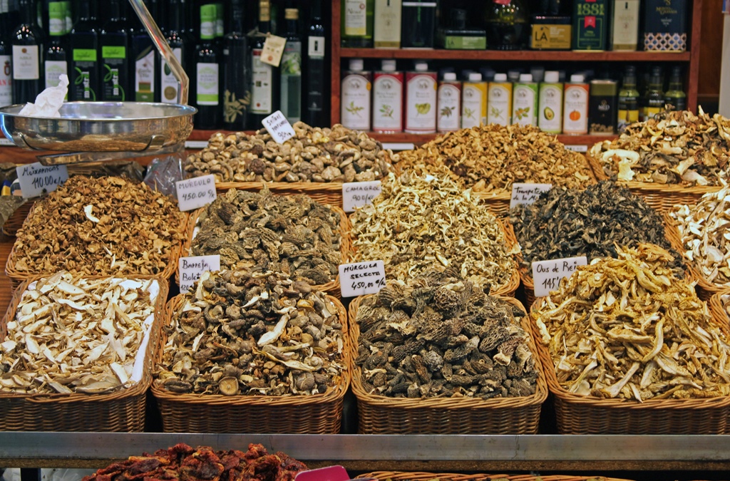 Funghi