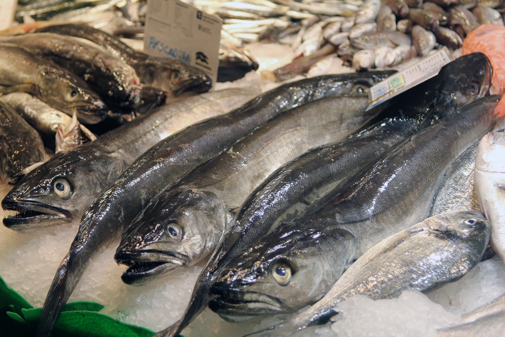 Fish