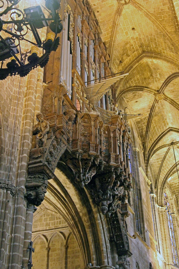 Organ