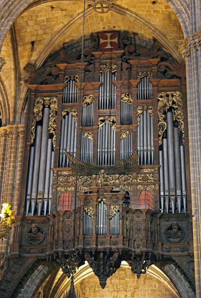 Organ