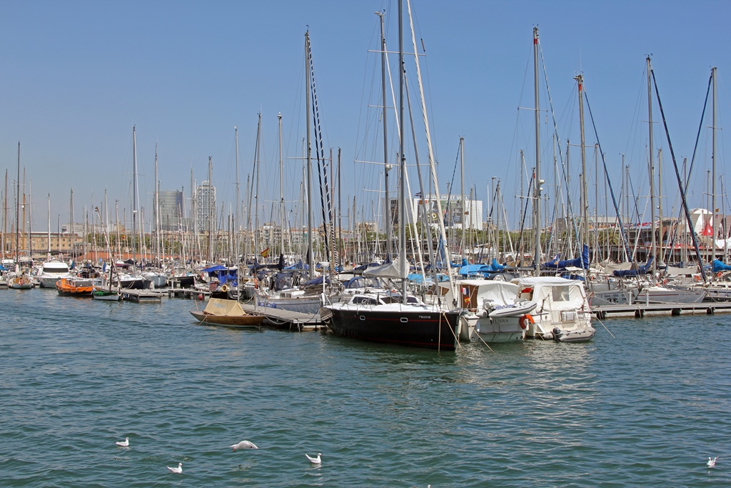 Trapped Boats