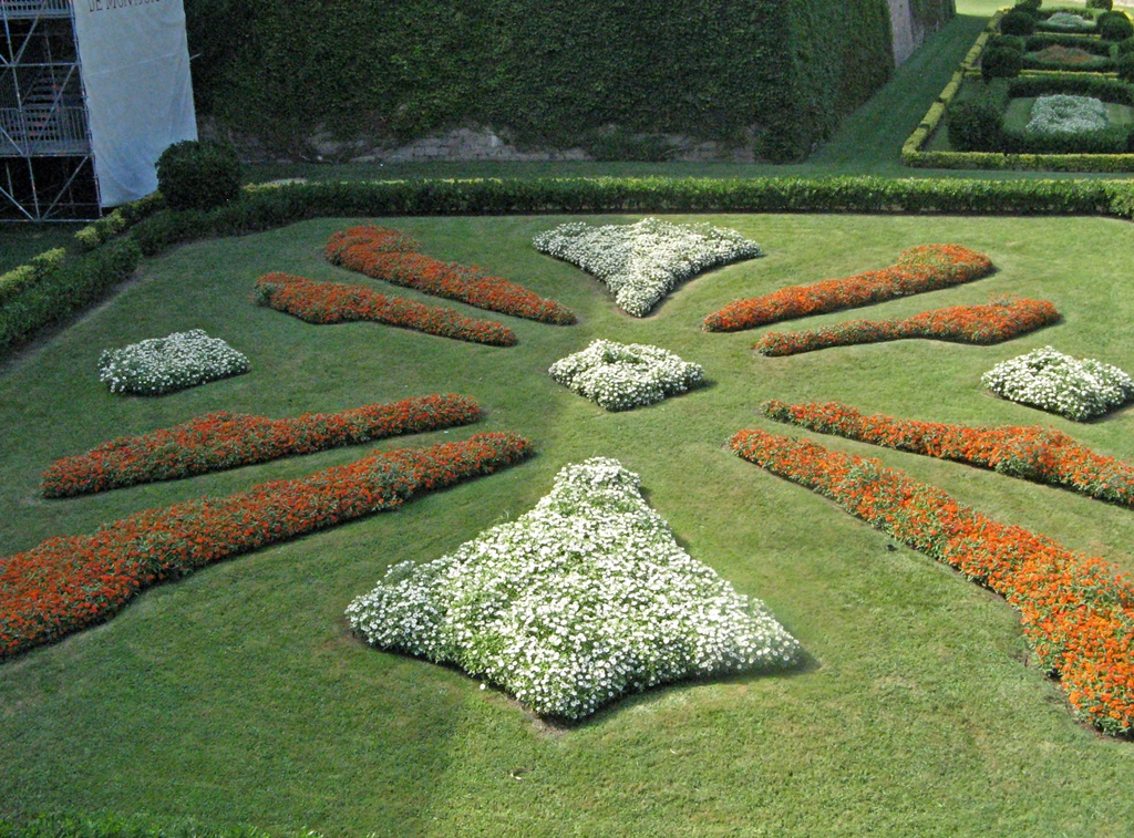 Flowers in 'Moat'