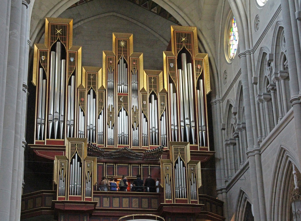 Organ