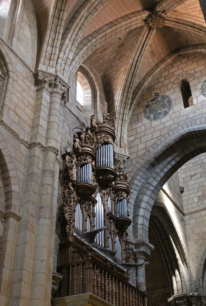 Organ