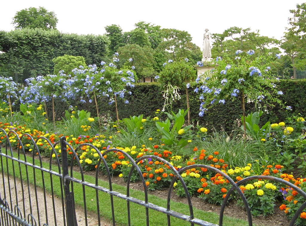 Flowers